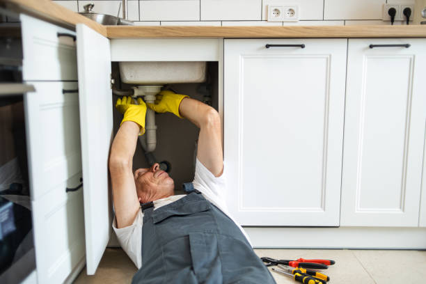 Best Affordable Plumber Near Me  in Warm Springs, CA