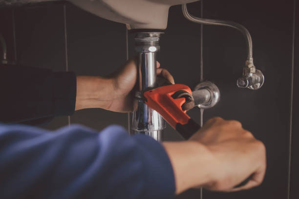 Best Plumbing Inspection Services  in Warm Springs, CA